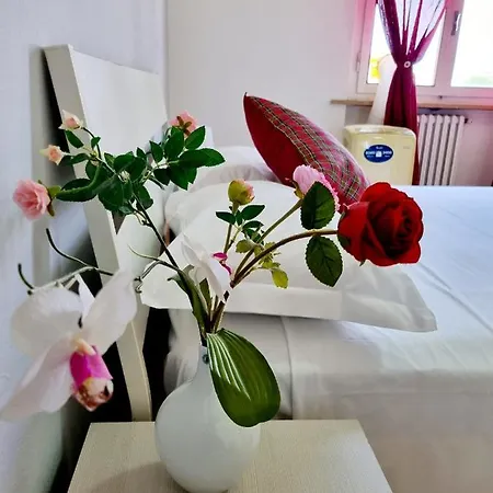 Bed & Breakfast Prime Guest House